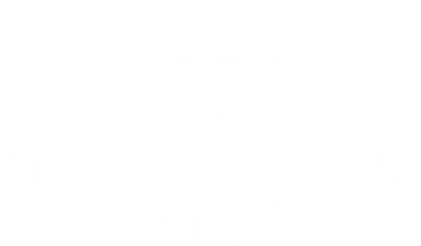 Mysterious Heir